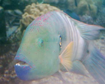 marine staion10