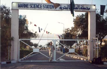 marine staion31
