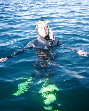 swim20