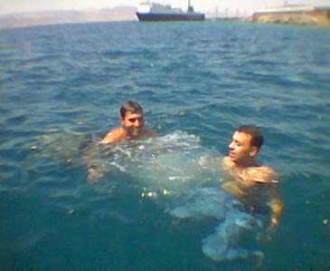 swim6