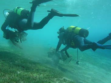 underwater14