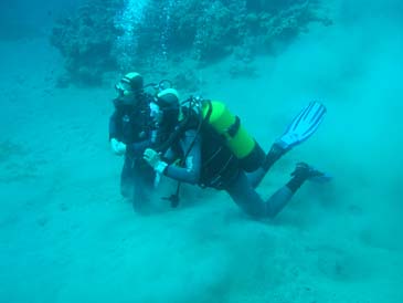 underwater3