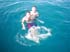 swim15