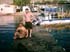 swim16