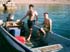 swim18