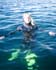 swim20