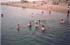 swim3