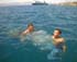 swim6