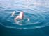 swim7