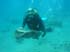 underwater11