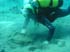 underwater16