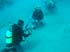 underwater4
